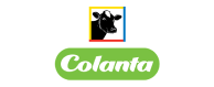 19colanta-cliente-psicoalianza-pruebas-psicotecnicas-online